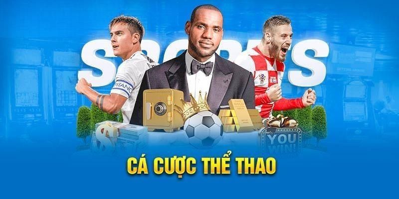 Những môn thể thao 8xbet bạn có thể tham gia