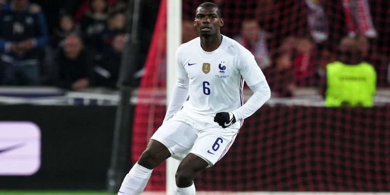 Tiểu sử Paul Pogba – Ngôi sao đầy tài năng và cá tính của bóng đá 2 image 80