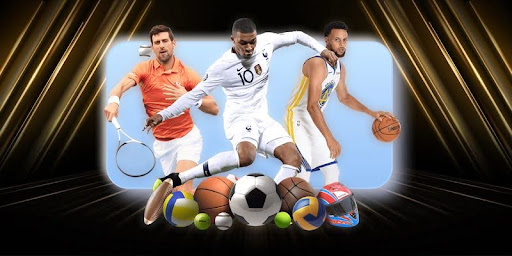 vai tro cua nhan dinh bong da