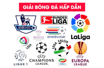 Tổng Hợp Các Giải Bóng Đá Đáng Xem Nhất Hiện Nay