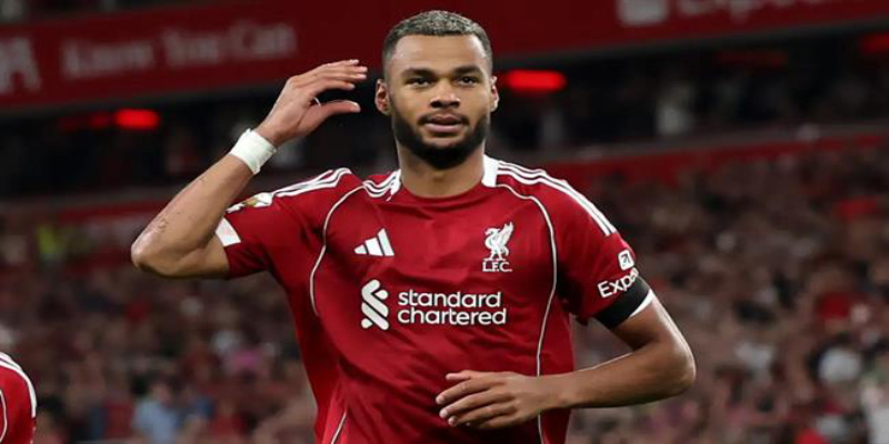 Cody Gakpo: Tiền đạo Tấn công sáng giá của Liverpool FC 3 cody gakpo chuyen den liverpool