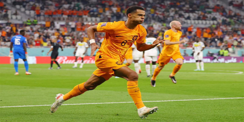 Cody Gakpo: Tiền đạo Tấn công sáng giá của Liverpool FC 2 cody gakpo tai doi tuyen ha lan