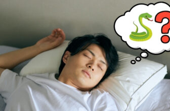 Giải Mã Giấc Mơ Thấy Rắn – Tín Hiệu Tâm Lý Hay Cảnh Báo