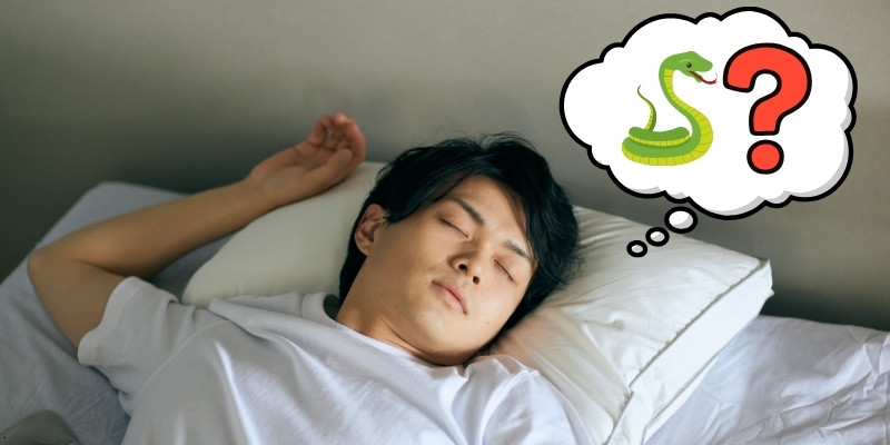 giai ma giac mo thay ran