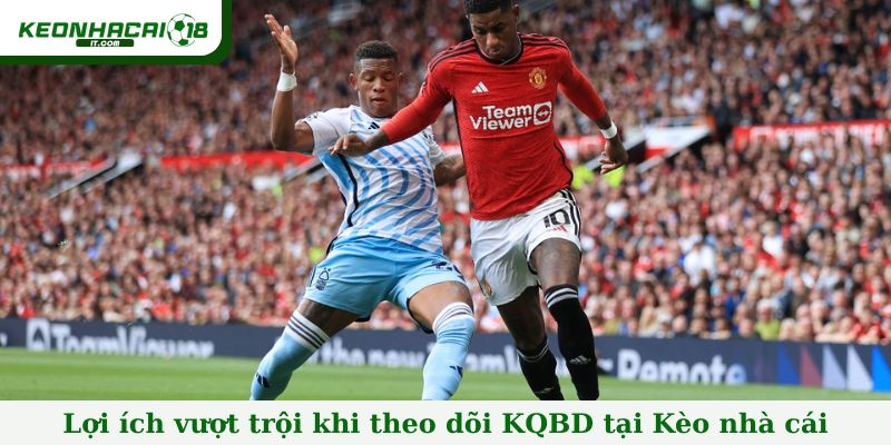 Thể Thao Trong Nước và Quốc Tế: Tổng Quan Các Môn Phổ Biến