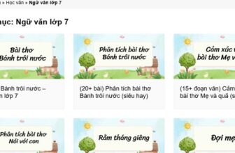 Đánh giá chiều sâu phân và giá trị học tập