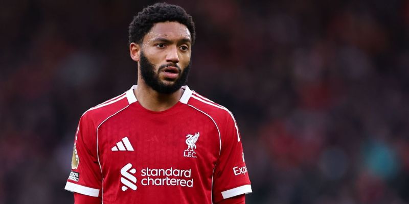 Giới Thiệu Chung Về Joe Gomez