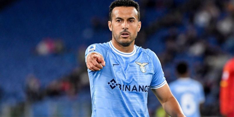 Giới Thiệu Chung Về Pedro