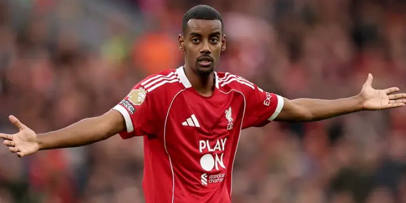 Giới thiệu về cầu thủ Alexander Isak