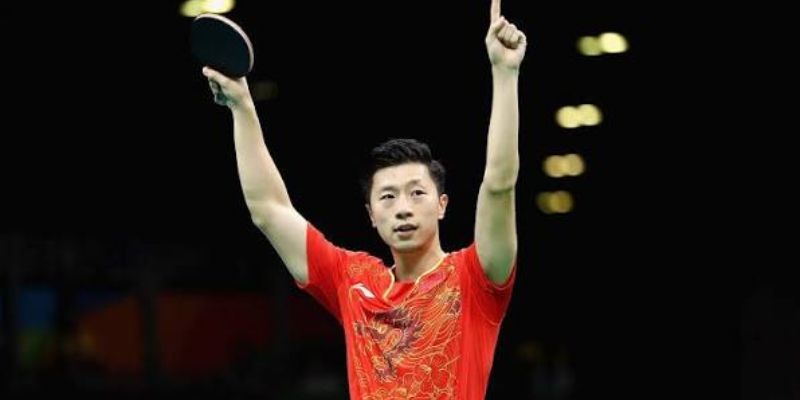 Ma Long là ai?