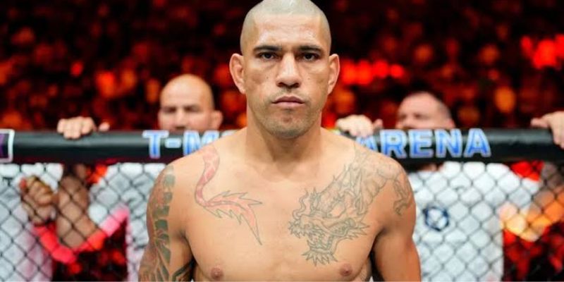 Alex Pereira – Hành Trình Của Nhà Vô Địch MMA Hàng Đầu 2 Phong Cách Thi Đấu Của Alex Pereira