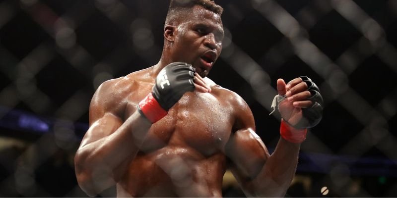 Francis Ngannou: Hành Trình Từ Gian Khó Đến Đỉnh Cao MMA 2 Khán giả nhớ Ngannou qua nhiều thử thách