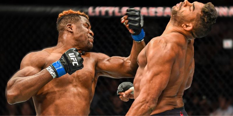 Francis Ngannou: Hành Trình Từ Gian Khó Đến Đỉnh Cao MMA 1 Người hâm mộ đánh giá Francis Ngannou rất cao