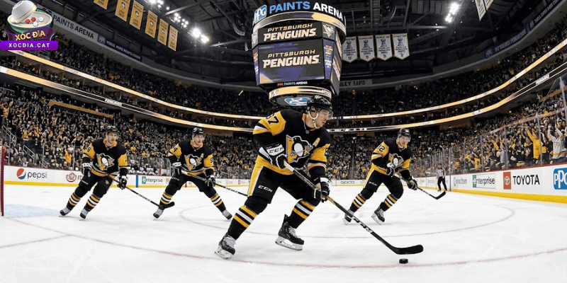 Pittsburgh Penguins: Những Chiếc Cúp Stanley Danh Giá 2 Sân Nhà PPG Paints Arena Và Tầm Ảnh Hưởng Cộng Đồng