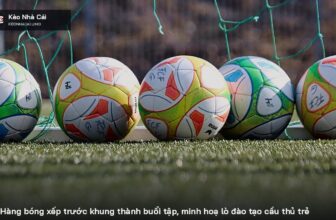 Tiêu chí 4: Sức chịu tải thể lực