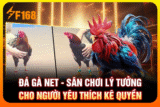 Đá Gà Net – Sân Chơi Lý Tưởng Cho Người Yêu Thích Kê Quyền