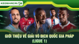Nhận định bóng đá VĐQG Pháp và góc nhìn chuyên môn về Ligue 1