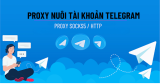Proxy Telegram Là Gì? Nuôi Nhiều Telegram Bằng Proxy Kiếm Tiền
